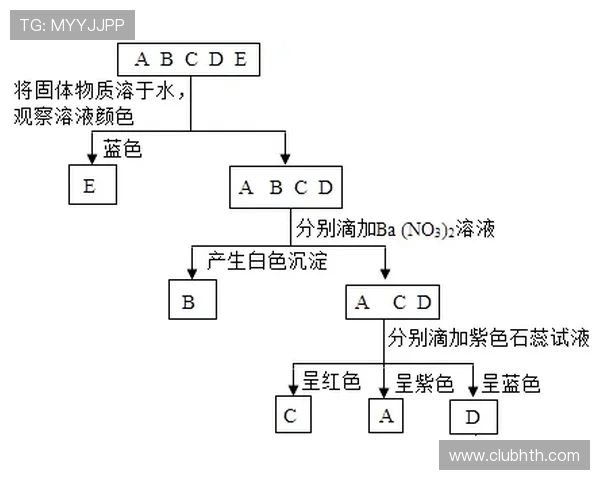 多米官网最新活动预告及参与流程详细介绍